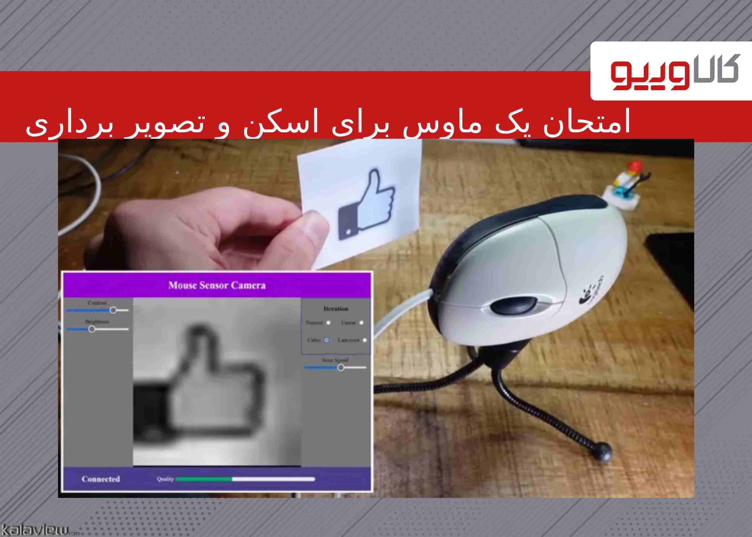 امتحان یک ماوس برای اسکن و تصویر برداری