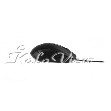 Tsco Tm 293 Mouse