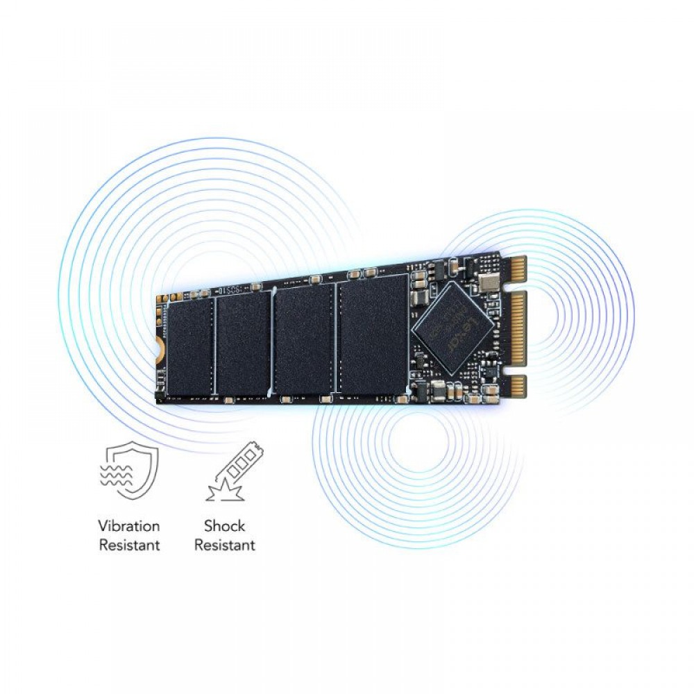حافظه اس اس دی اینترنال لکسار 256GB مدل NM100 SATA M.2 2280 پارت نامبر LNM100-256RB